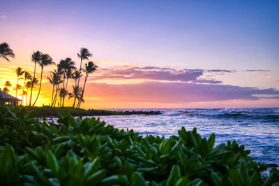 Scenic view of sea against sky during sunset