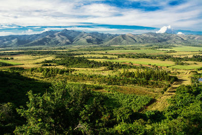 Scenic view of field against sky