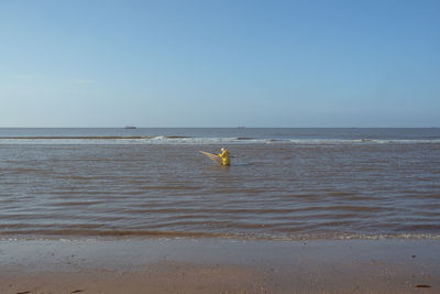 People on beach against sky