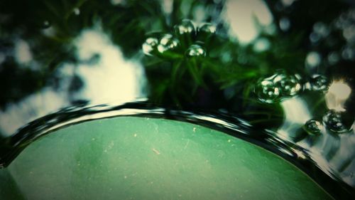 Close-up of water in container