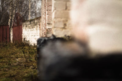 Close-up of old ruin building