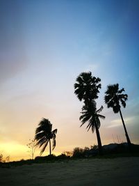 Silhouette trees against sky during sunset