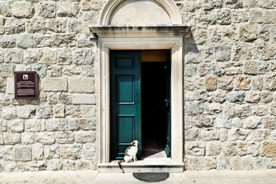 Cat sitting on doorway by wall