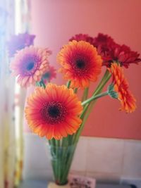 Close-up of flowers