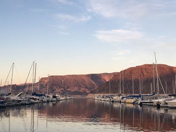 Sailboats moored in marina