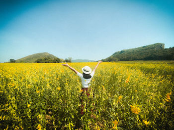 Scenic view of yellow flowering plants on field against clear sky
