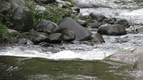 Water flowing through rocks in river