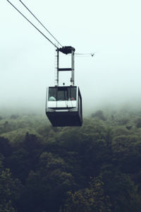 Overhead cable car in forest against sky