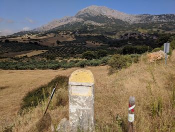Scenic view of field against sky