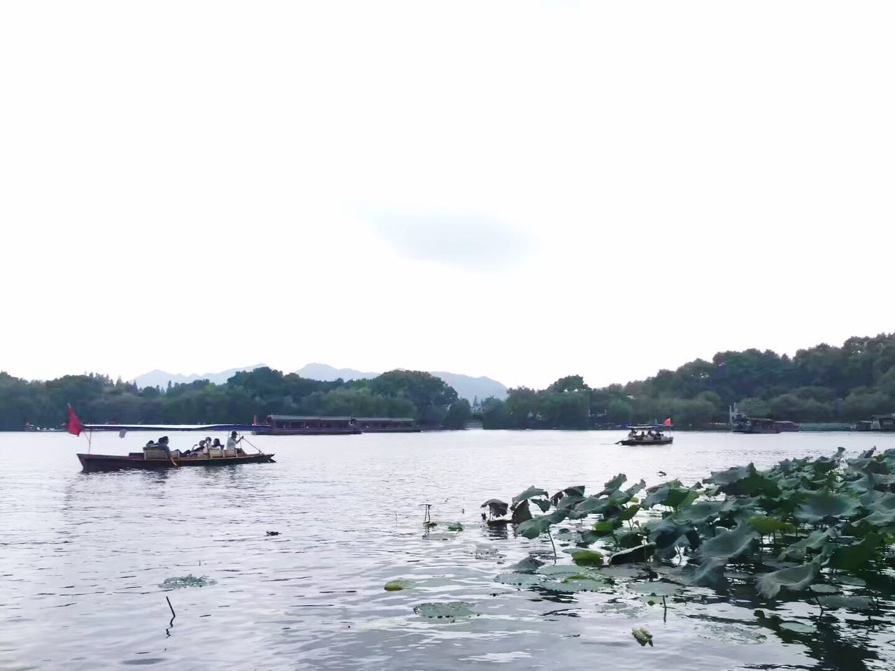 water, nature, transportation, nautical vessel, mode of transport, scenics, beauty in nature, lake, mountain, day, sky, tranquility, tranquil scene, outdoors, tree, waterfront, clear sky, no people, swan