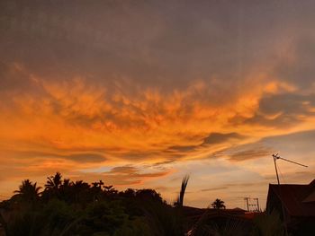 Low angle view of silhouette trees and buildings against dramatic sky