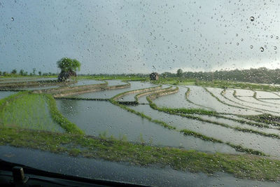 Wet field against sky