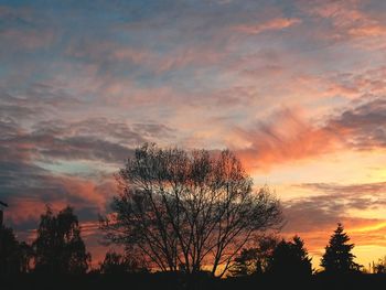 Silhouette trees against dramatic sky during sunset