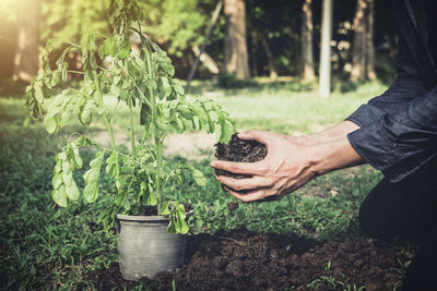 Midsection of person eating plants growing on field