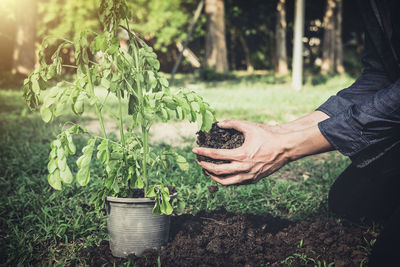 Midsection of person eating plants growing on field