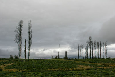 Scenic view of land against sky