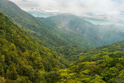 Scenic view of mountains in forest