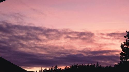 Low angle view of silhouette trees against dramatic sky