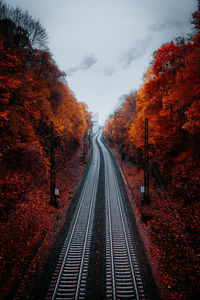 Railroad tracks amidst trees during autumn