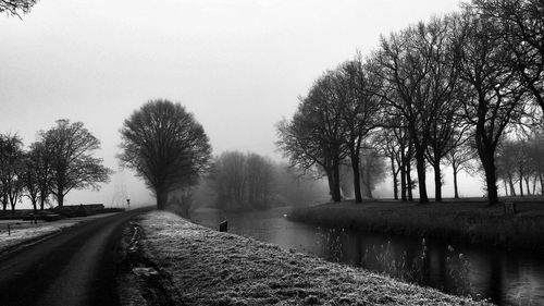 Road passing through forest