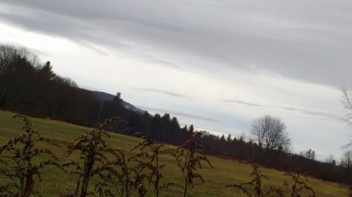 Scenic view of landscape against cloudy sky