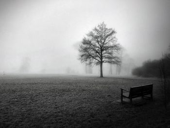 Bare tree on field in foggy weather