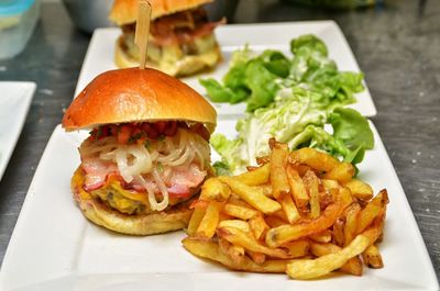 Hamburger and french fries in plate