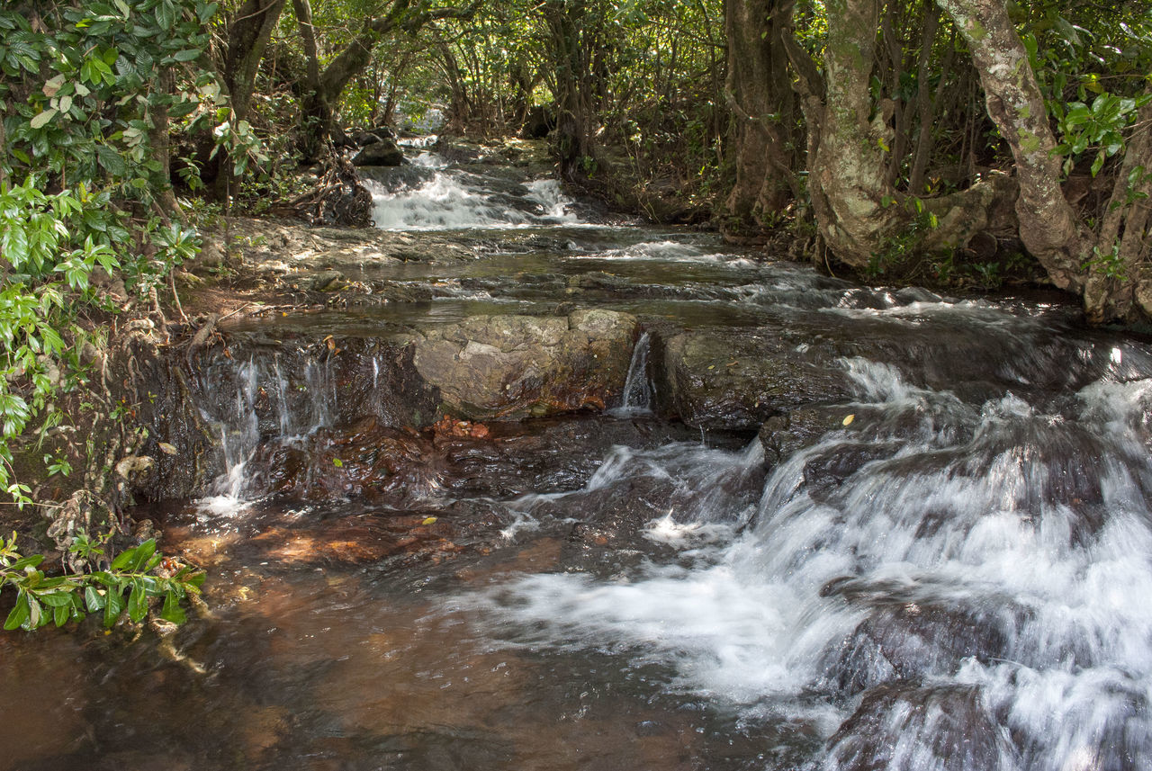 VIEW OF STREAM FLOWING THROUGH ROCKS IN FOREST