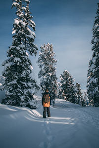 Man walking on snowy footpath against trees