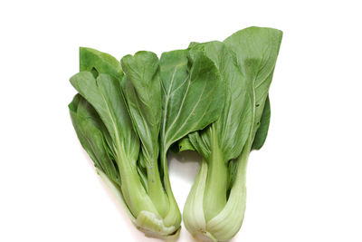 Close-up of vegetables against white background