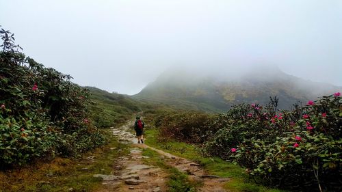 Rear view of man walking on mountain against sky