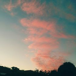 Low angle view of trees against sky at sunset