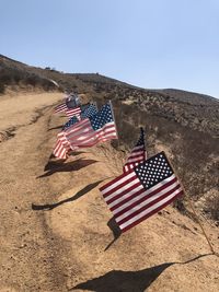  a hiking trail lined with american flags in desert against sky