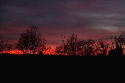 Silhouette trees on field against sky at sunset