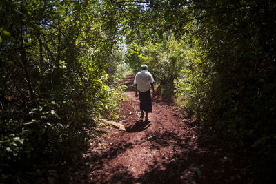 Rear view of men walking amidst trees