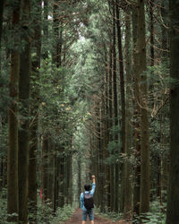 Rear view of man standing amidst trees in forest