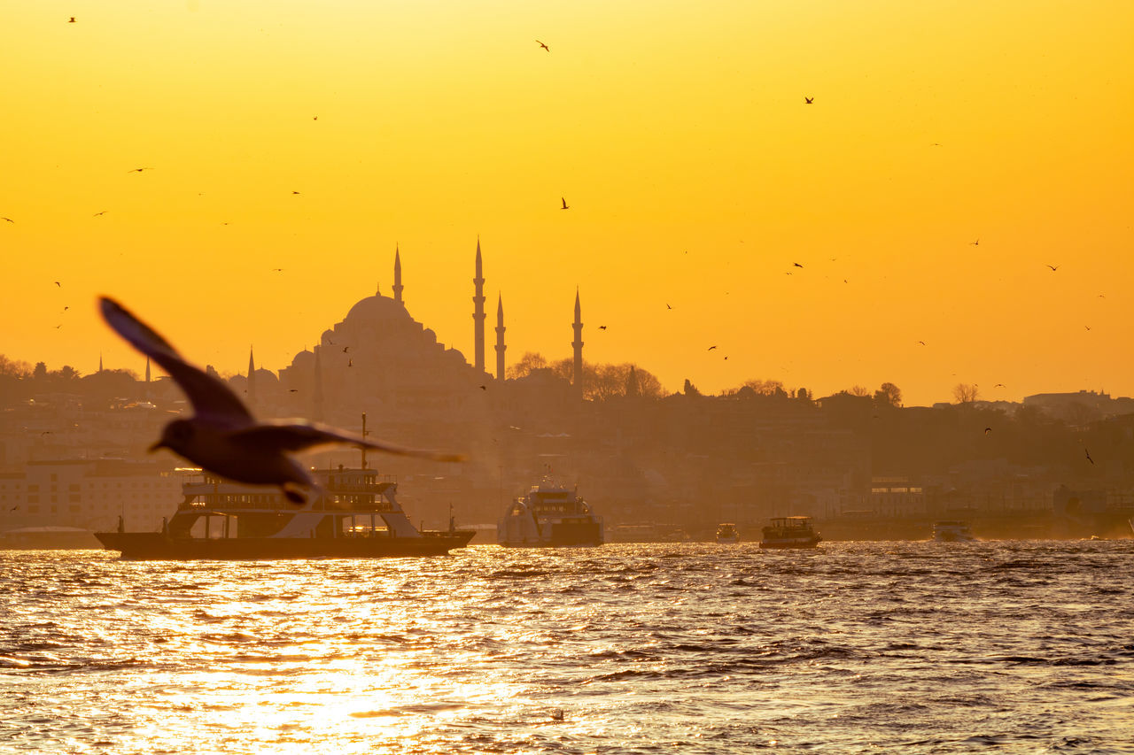 SILHOUETTE BIRD FLYING OVER SEA AGAINST ORANGE SKY