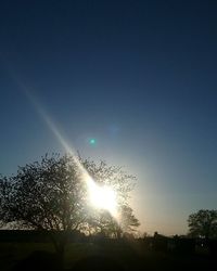 Low angle view of trees against blue sky