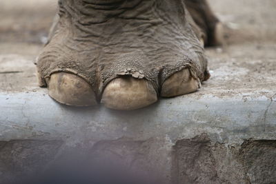 Low section of man relaxing outdoors