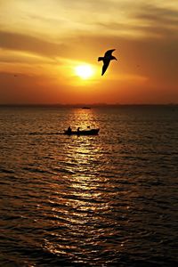 Bird flying over sea at sunset