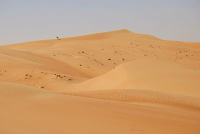 More desert photos because i can never get tired of this view