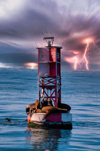 Lifeguard hut in sea against sky