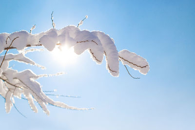 Low angle view of snow against clear blue sky