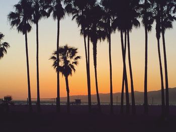 Silhouette of palm trees at sunset