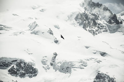 Aerial view of snow covered land