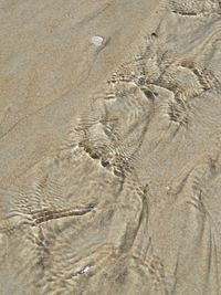 High angle view of footprints on sand at beach