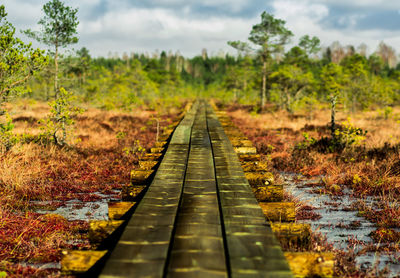 High angle view of boardwalk on field