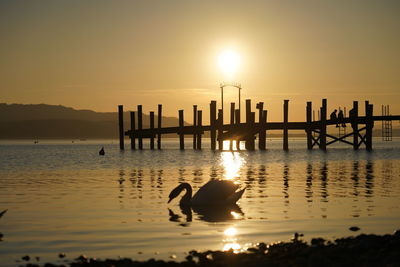 Silhouette birds on wooden post against sky during sunset