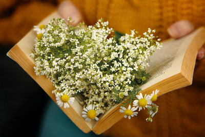 Woman in knitted sweater holds book with daisies inside.