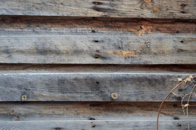 Full frame shot of weathered wall